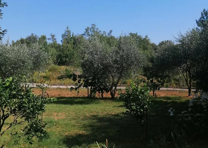 Apartman Petovic