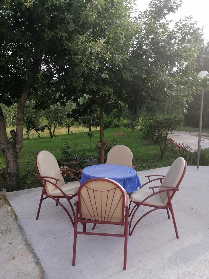 Petovic * Kotor