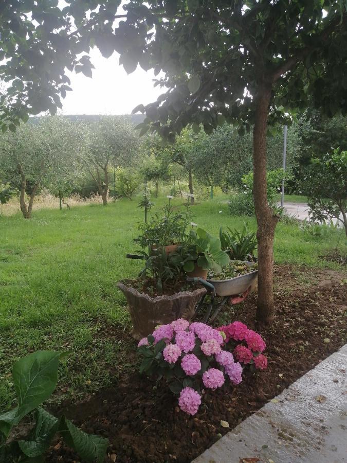 Appartement Petovic